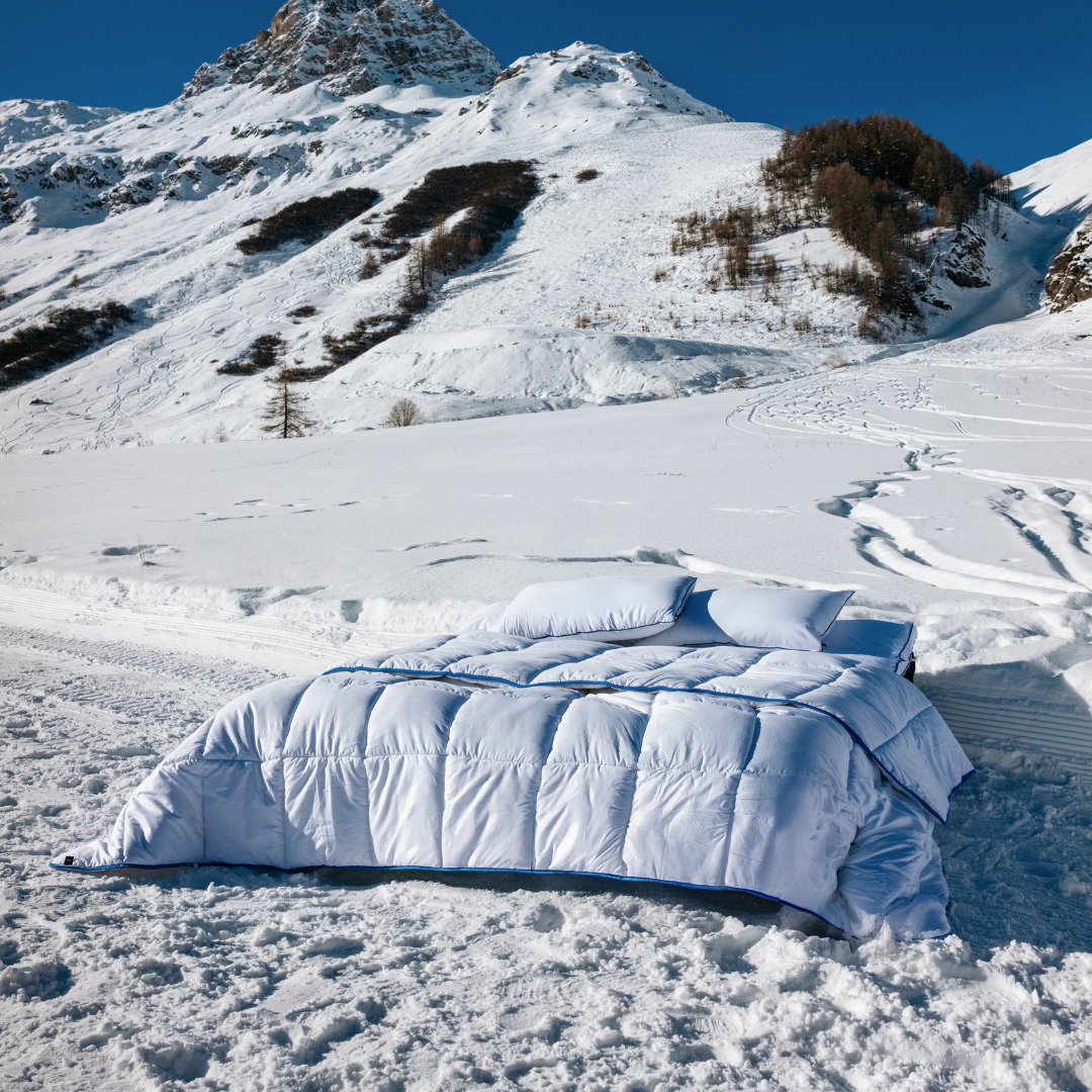 Winter Duvet - Siliconized hollow fibers, cotton cover