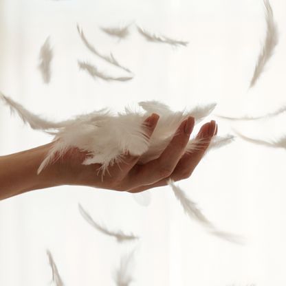 Surmatelas en plumes Drimz