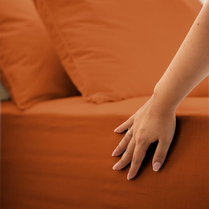 #couleur_terracotta
