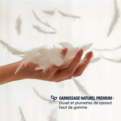 La Couette Hiver Drimz - plumes et duvet de canard