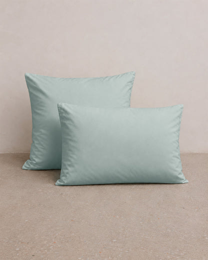 #couleur_hint-of-mint