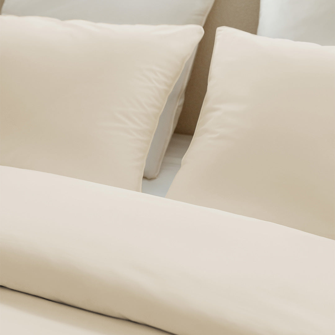 #couleur_babys-breath